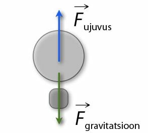 Üleslükkejõud tõstab, gravitatsioonijõud kisub alla