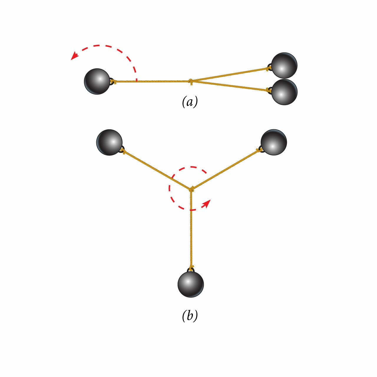 Bola