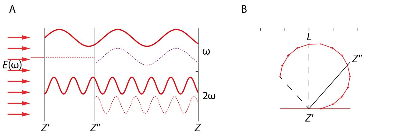 Jn10.2