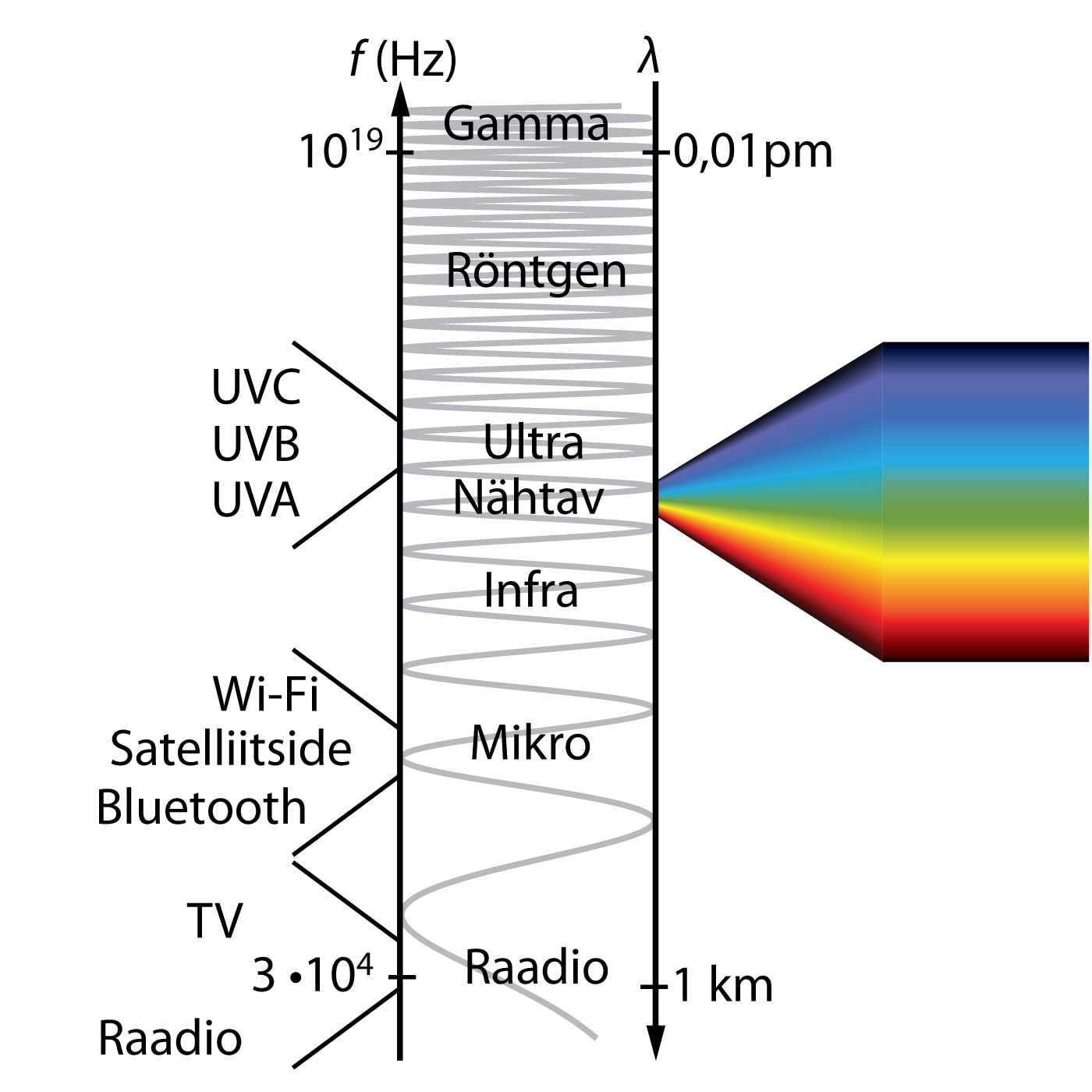 Elektromagnetlainete spekter