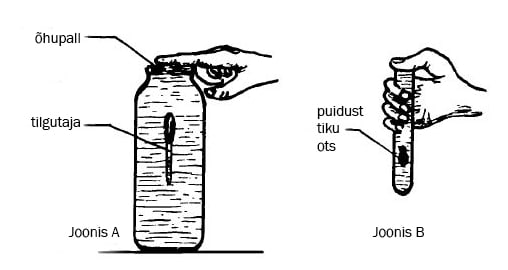 Tubli sukelduja, joonis