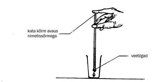 Vee transportimine kõrre abil