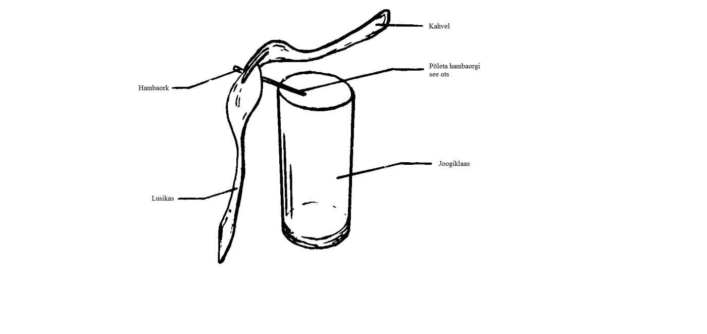 Kahvli ja lusika katse