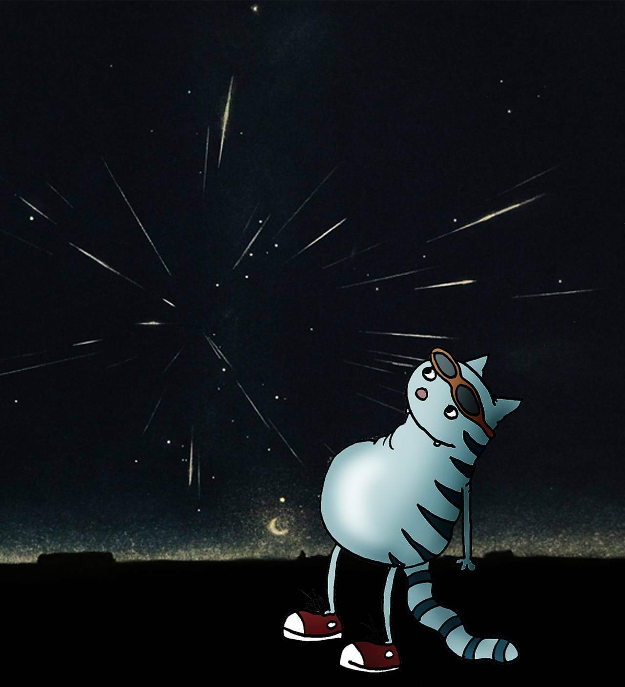 Kass meteoorisadu vaatamas (kassipilt)