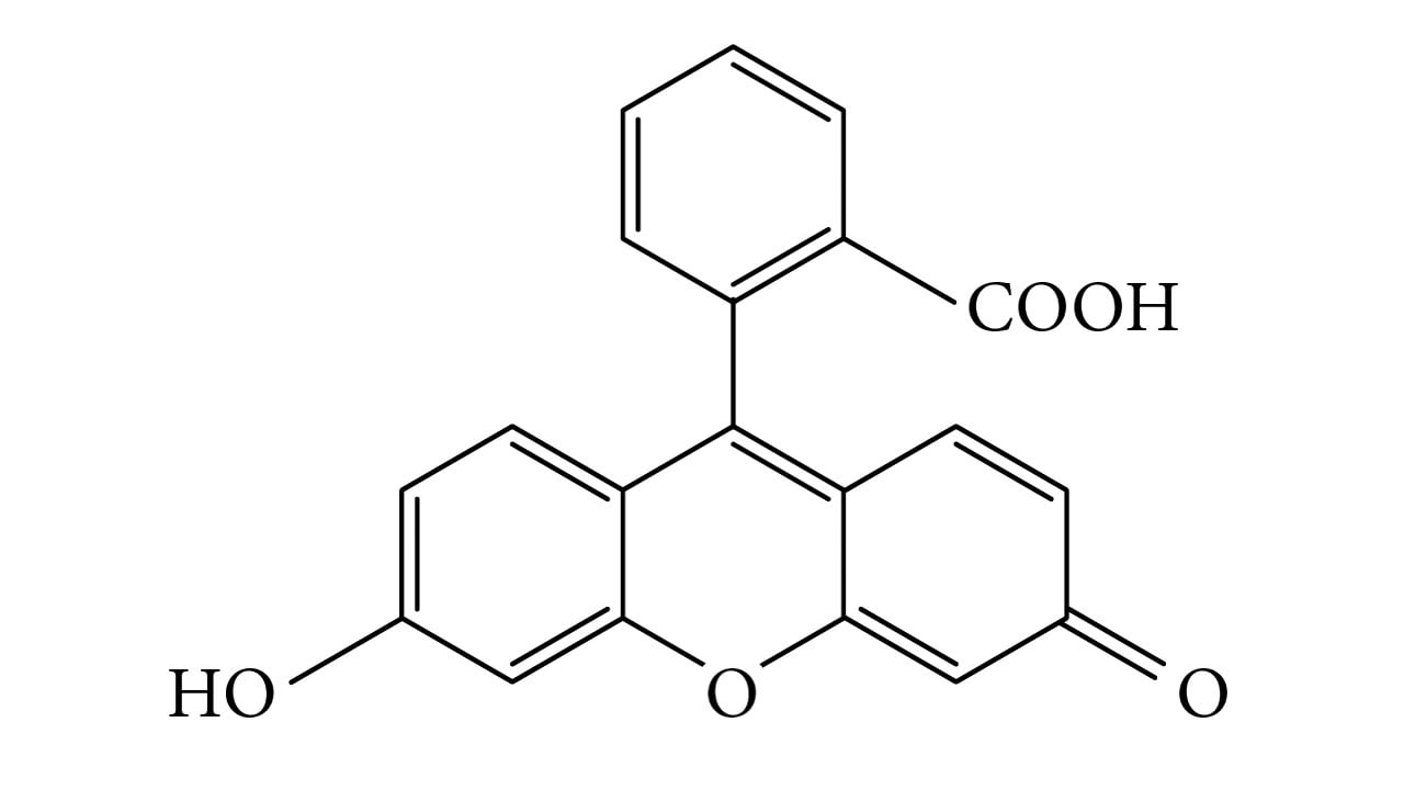 Fluorestseiini molekul