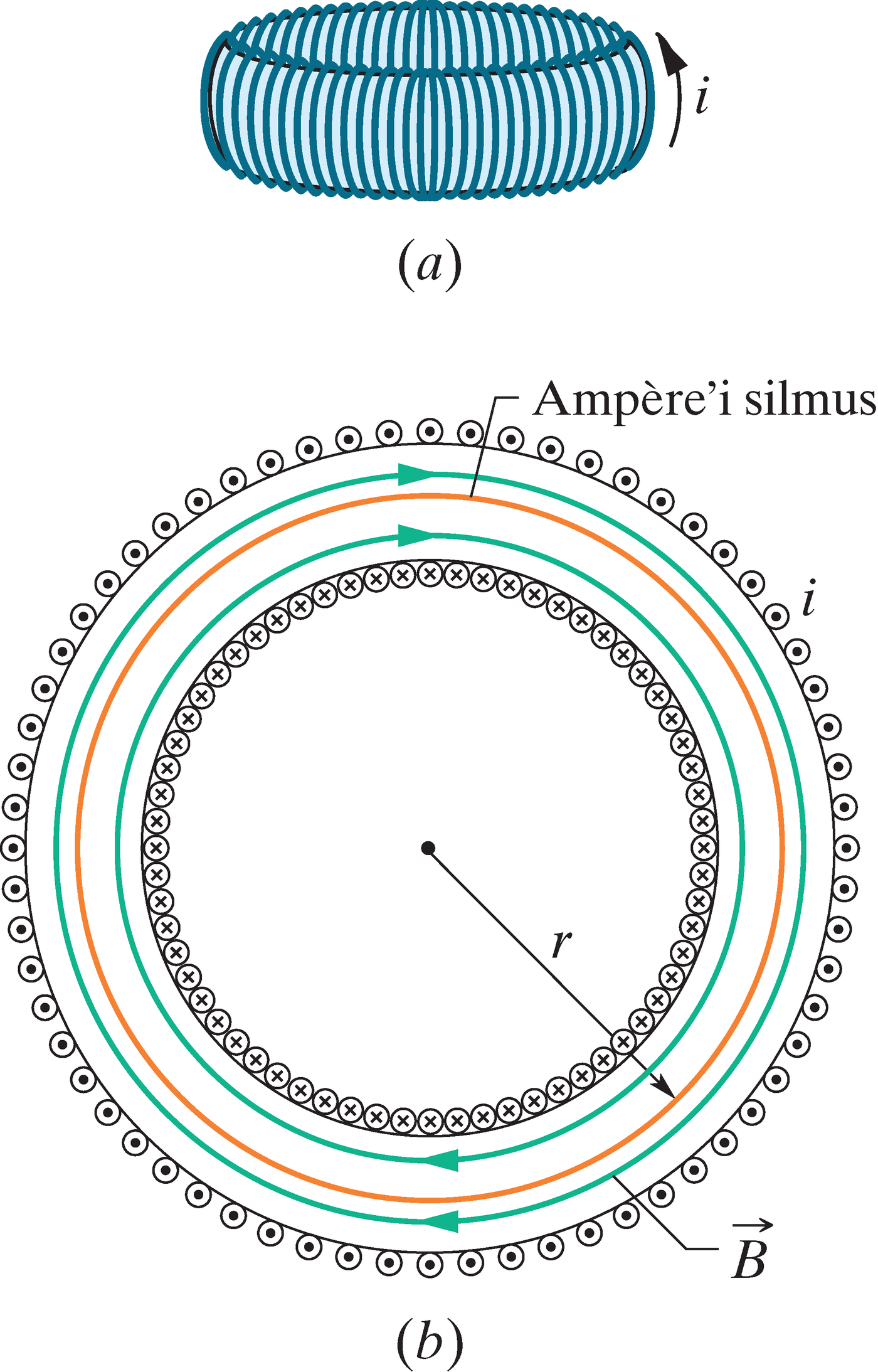 Toroid ja Ampère’i silmus